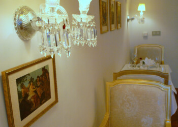 SONY DSC